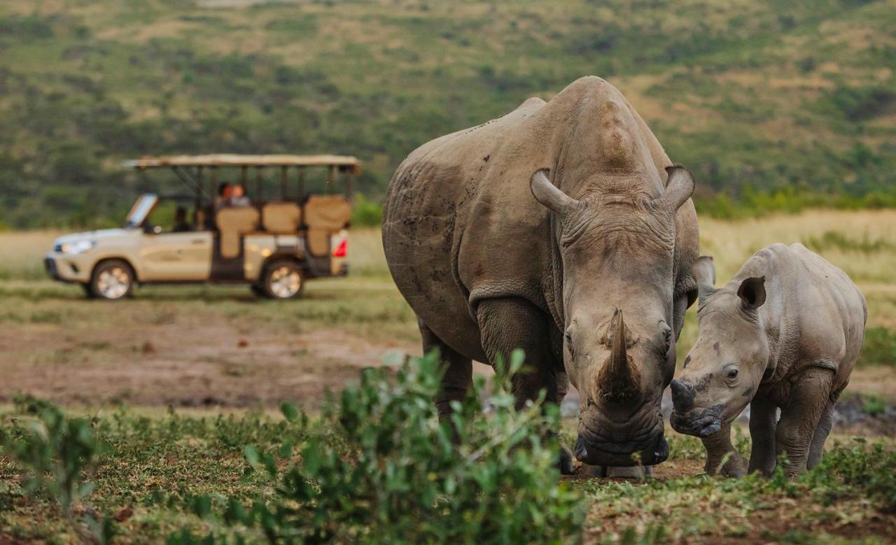 Rhino Ridge Safari Lodge KwaNompondo Экстерьер фото